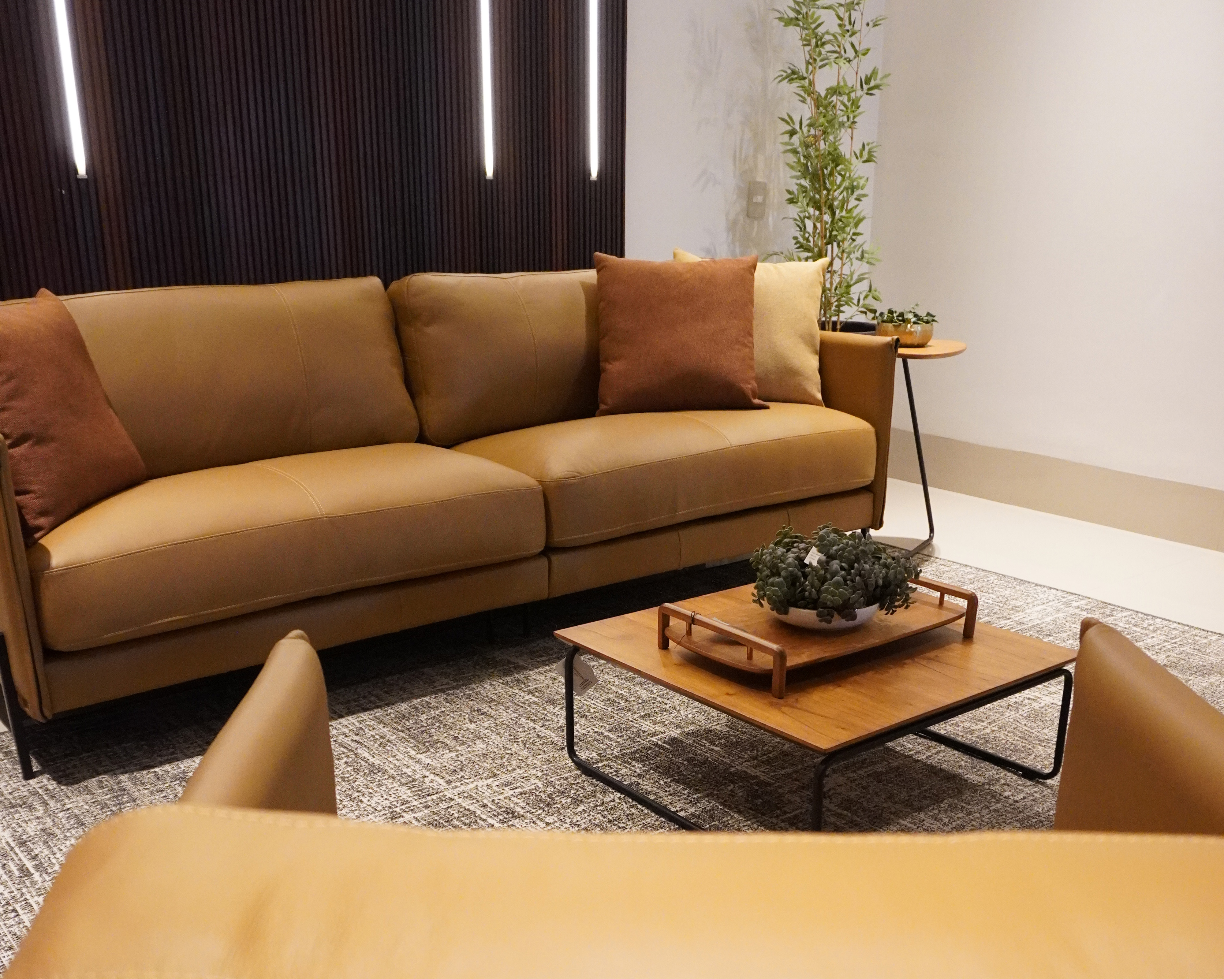 Conforto Incomparável