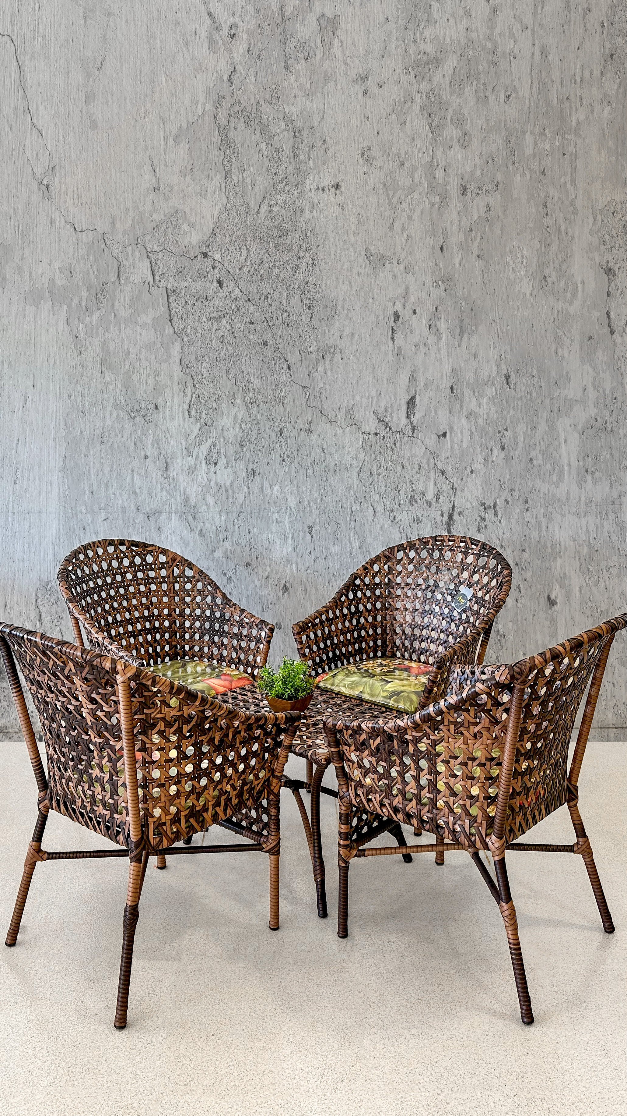 Conjunto Jantar Marrom Clássico